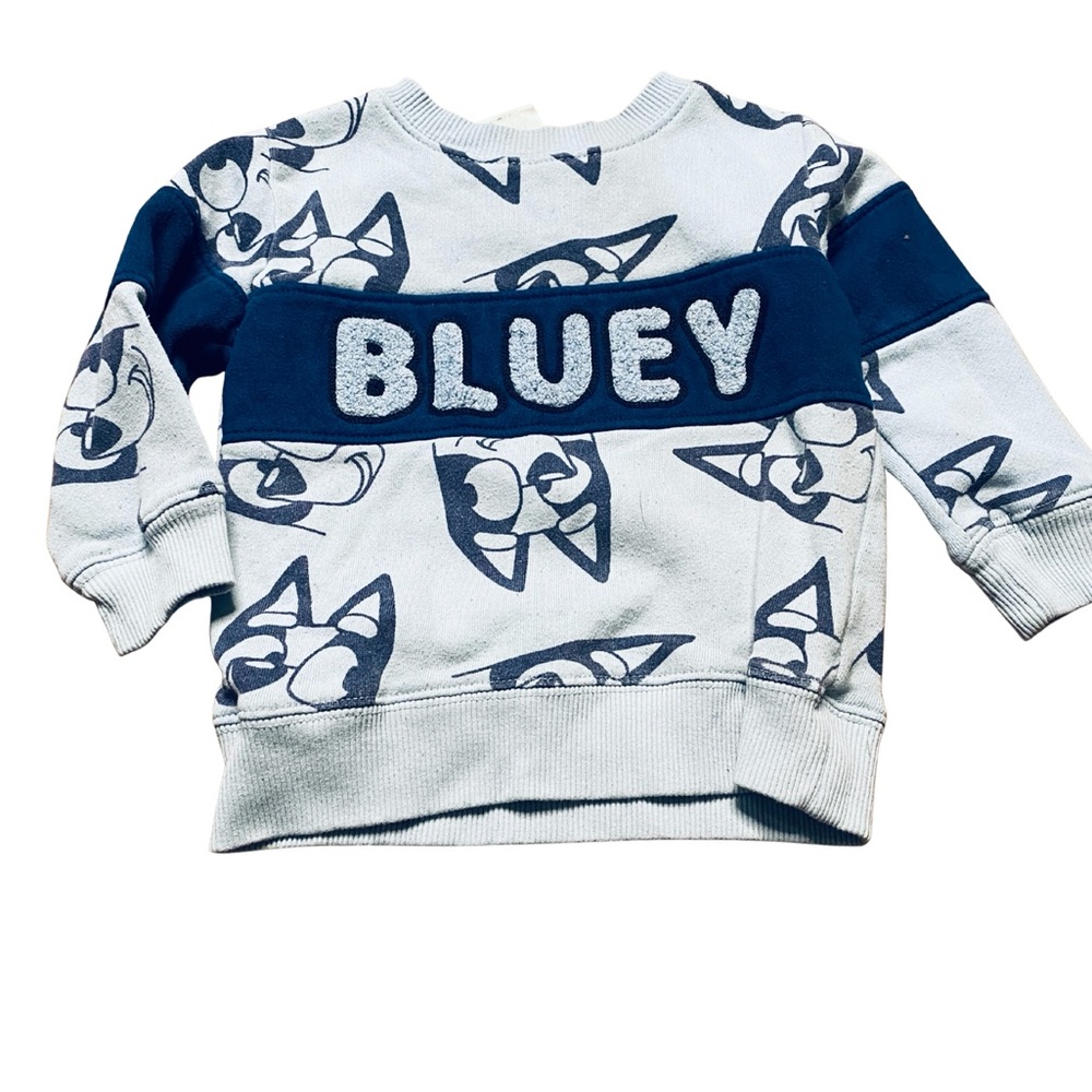 Bluey Toddler Sweatshirt Light Blue Allover Print Pullover 2T